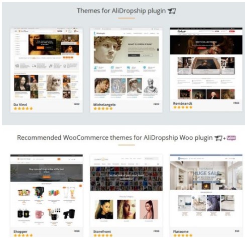 alidropship themes